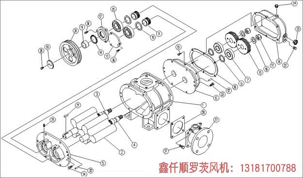 罗茨樱花草在线观看播放视频www工作组成部件